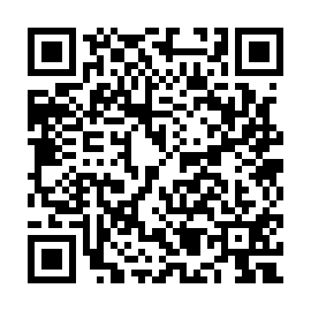 QR code for NM31117
