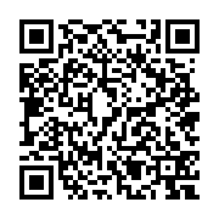 QR code for NM57339