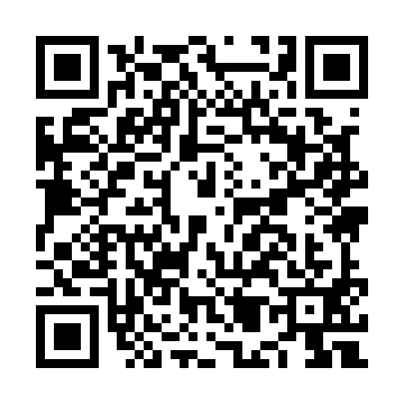 QR code for NM91919
