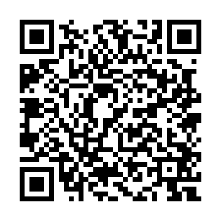 QR code for NN10424