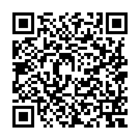 QR code for NN19931