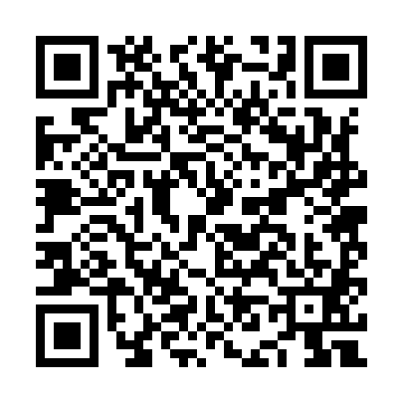 QR code for NN29817