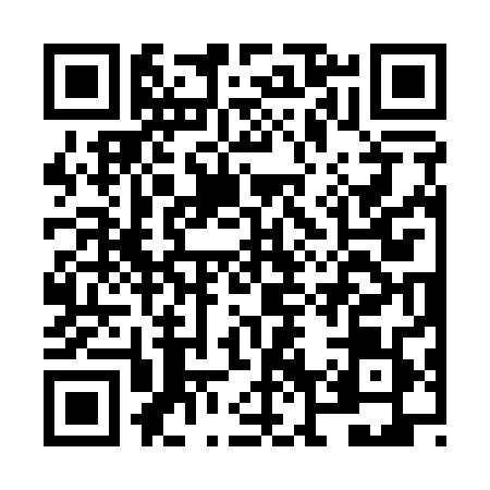QR code for NN31894