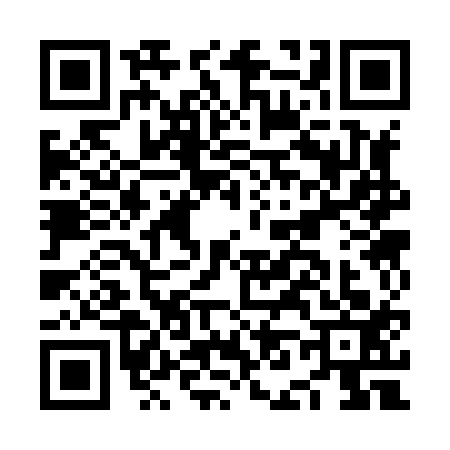 QR code for NN38135