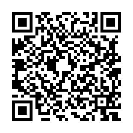 QR code for NN38930