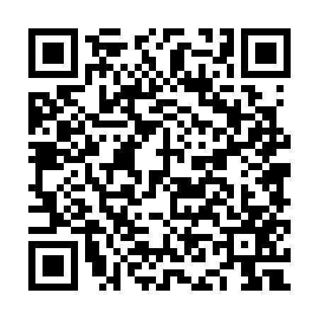 QR code for NN43579