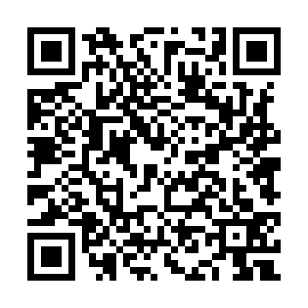 QR code for NN49335