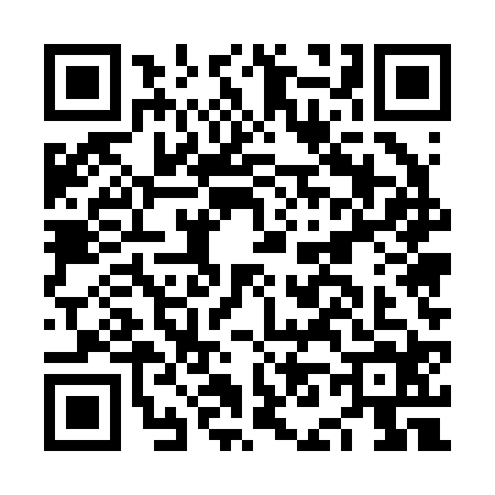 QR code for NN52242