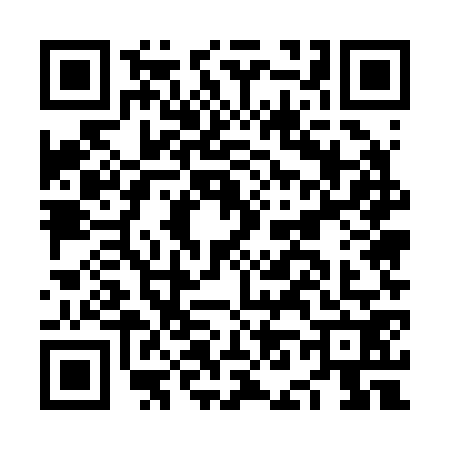 QR code for NN52728