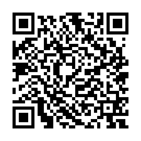QR code for NN53603