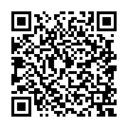 QR code for NN80401