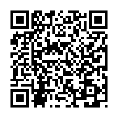 QR code for NN86228