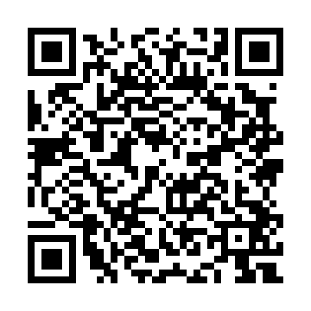 QR code for NN90423