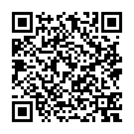 QR code for NN91308