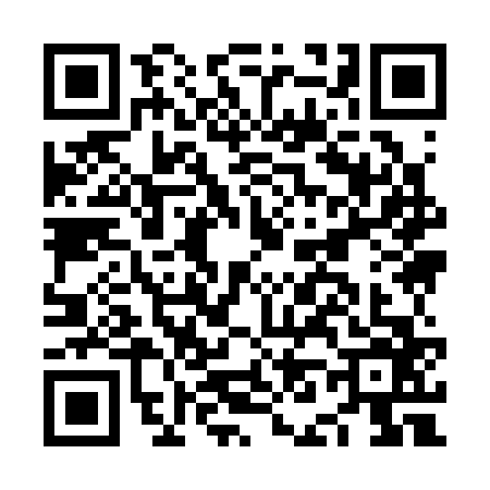 QR code for NN93666