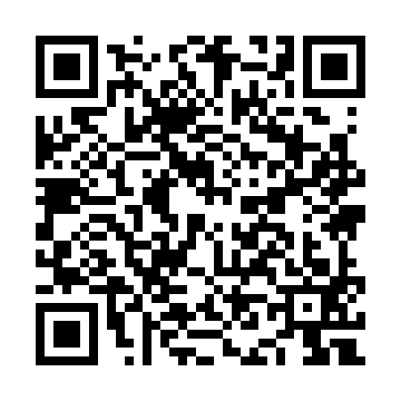 QR code for NN93930