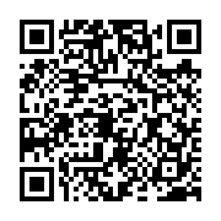 QR code for NO36729