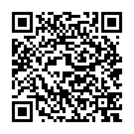 QR code for NO52399