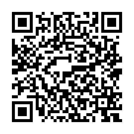 QR code for NO95655