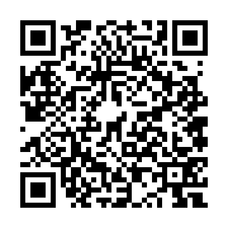 QR code for NP63738