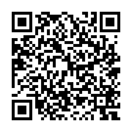 QR code for NQ13495