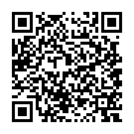 QR code for NQ60541