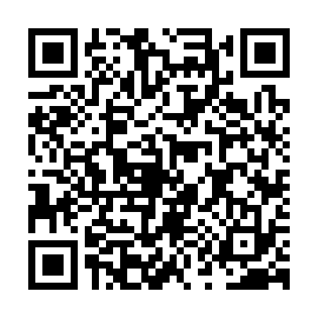 QR code for NQ63338