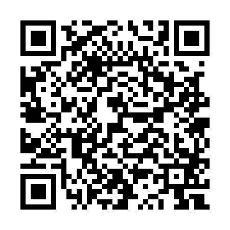 QR code for NS31838