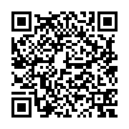QR code for NS38300