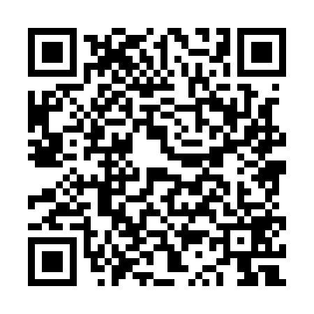 QR code for NS81595