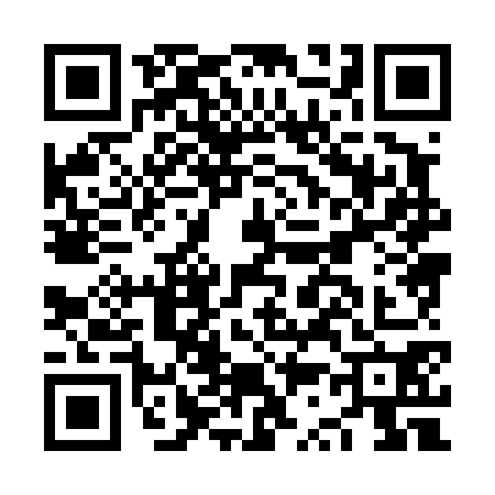QR code for NS84704