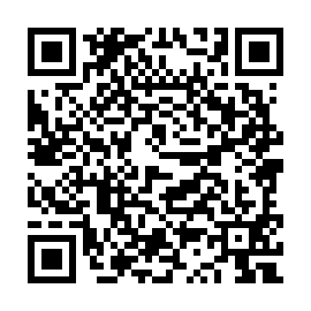 QR code for NS86919
