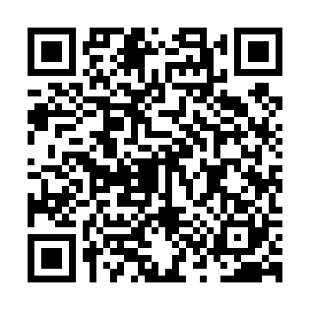 QR code for NS94206