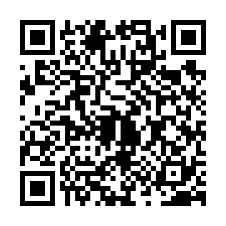 QR code for NS96307