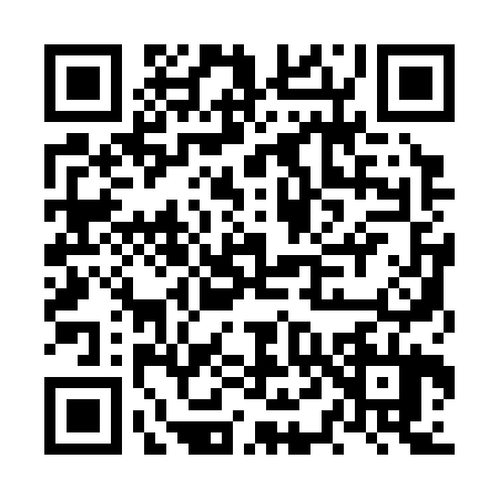 QR code for NT13247
