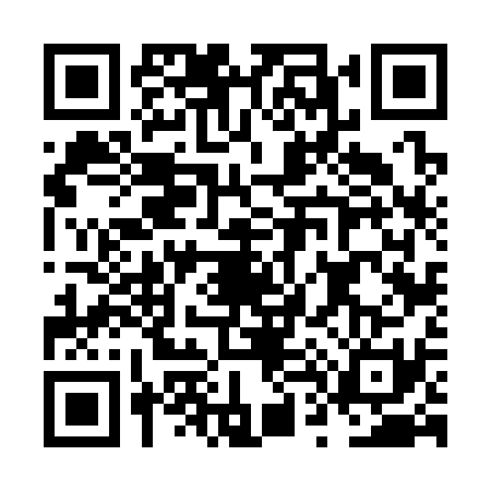 QR code for NT63316