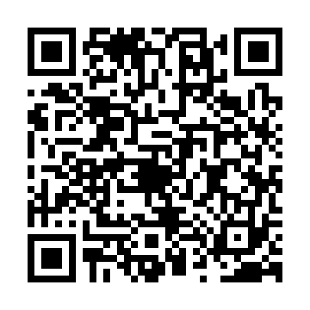 QR code for NT93738