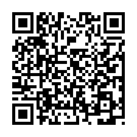 QR code for NV22384