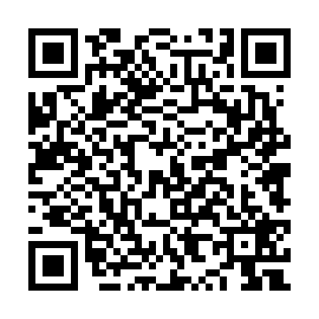 QR code for NX46295
