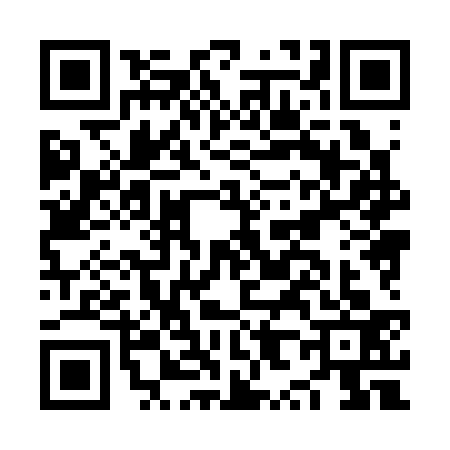 QR code for NX83333