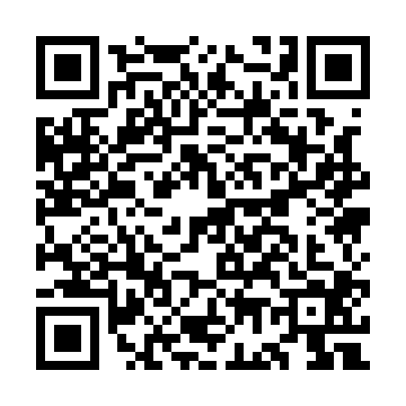 QR code for OG11041