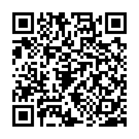 QR code for OG17383