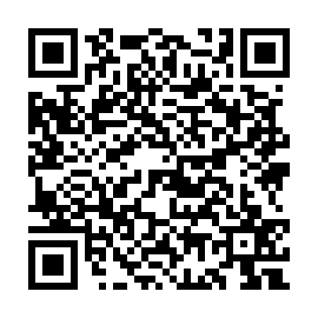 QR code for OG95379