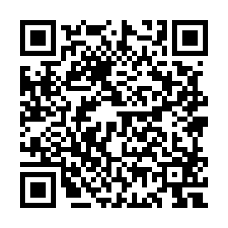 QR code for OG95863