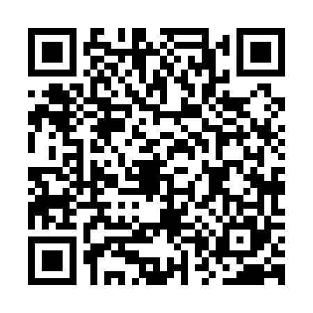 QR code for OP81653