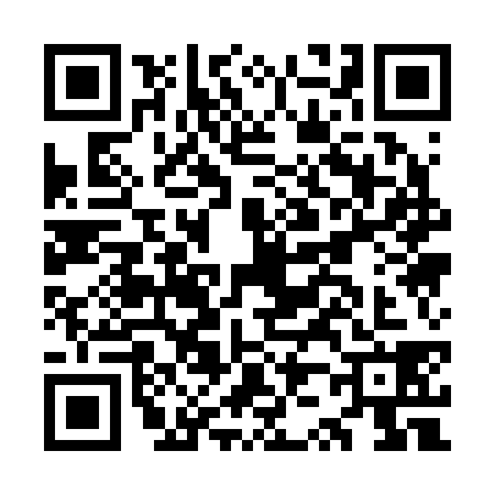 QR code for OZ12381