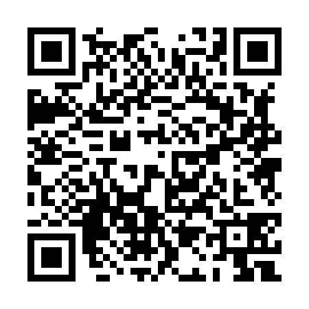QR code for PA08381