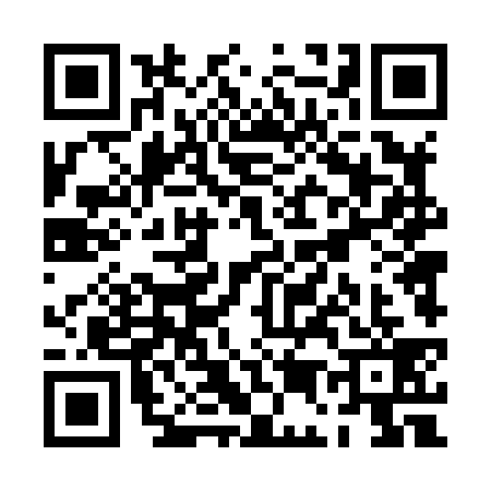 QR code for PE48393