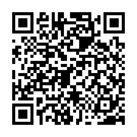 QR code for PG13304