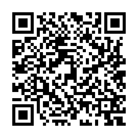 QR code for PG29225